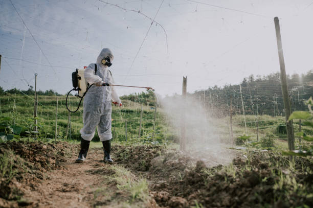 Best Mosquito Control Services  in Del City, OK