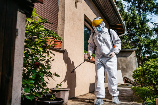 Best Best Pest Control Companies  in Del City, OK