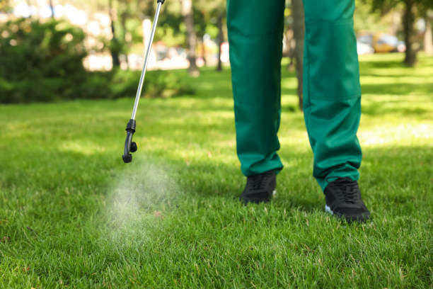 Best Pest Control Near Me  in Del City, OK