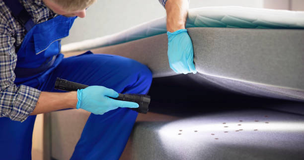 Best Termite Control Services  in Del City, OK