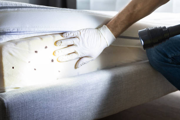 Pest Prevention Services in Del City, OK