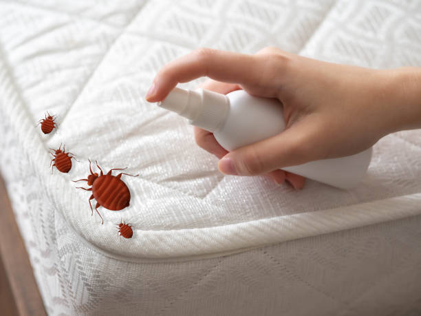 Professional Pest Control in Del City, OK
