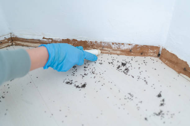 Best Wasp Removal Services  in Del City, OK