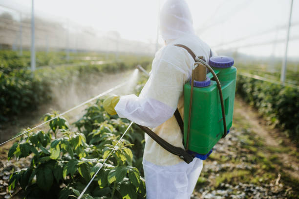 Wasp Removal Services in Del City, OK